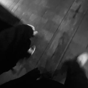 91在线视频看看
