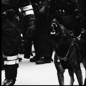 91在线视频看看
