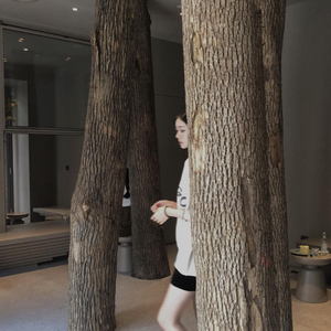 91在线视频看看
