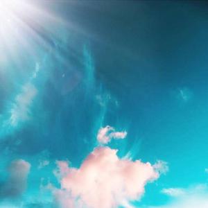 91在线视频看看
